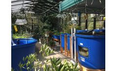 Aquaponic MicroFarms