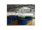 Clear Flow - Aquaponic Systems