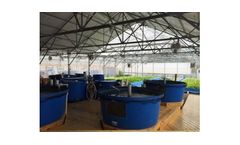 Clear Flow - Aquaponic Systems